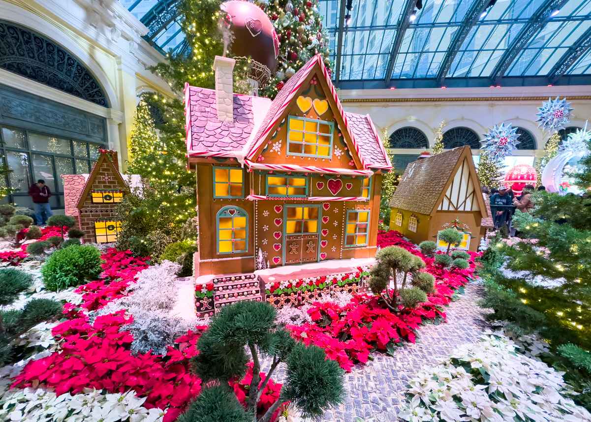 2022 Bellagio Conservatory Christmas (Photo Gallery) 8 Bellagio Garden Christmas 2022