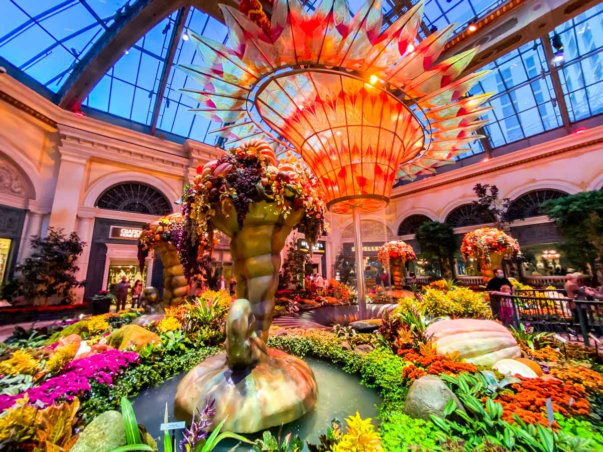 Discover The Best Things to Do in Vegas — No Gambling Required! 7 Bellagio Conservatory