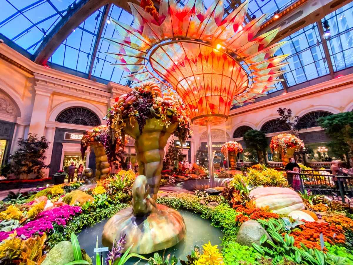Bellagio Conservatory & Botanical Gardens (2024 Schedule) 9 Best Time For Photos at The Bellagio Garden