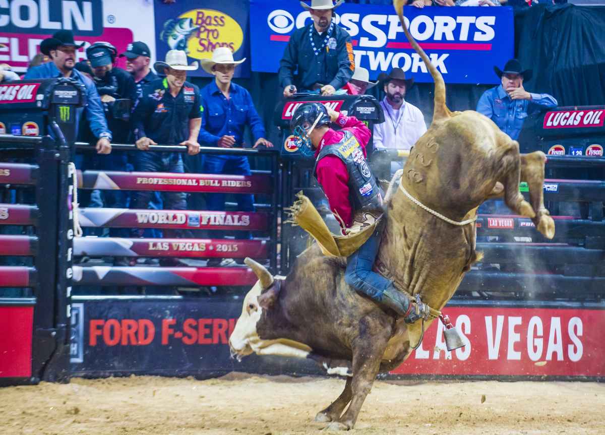 7 Fun Things to Do at Cowboy Christmas Las Vegas (December 5-14th, 2024) 3 Cowboy Christmas: Wrangler National Finals Rodeo