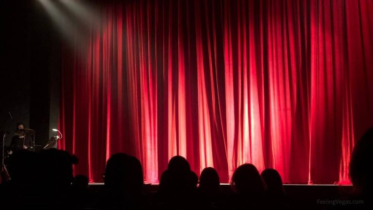 The best las vegas dinner shows.