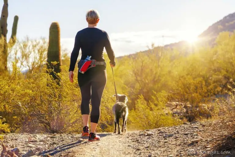 desert dog walk
