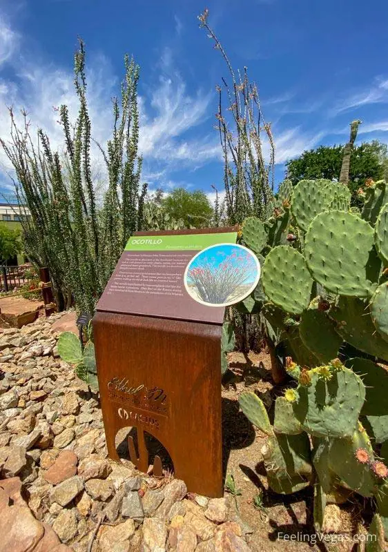 How to Be a Las Vegas Insider: Secrets from the Locals 7 Interperative sign at the Ethel M Cactus Garden