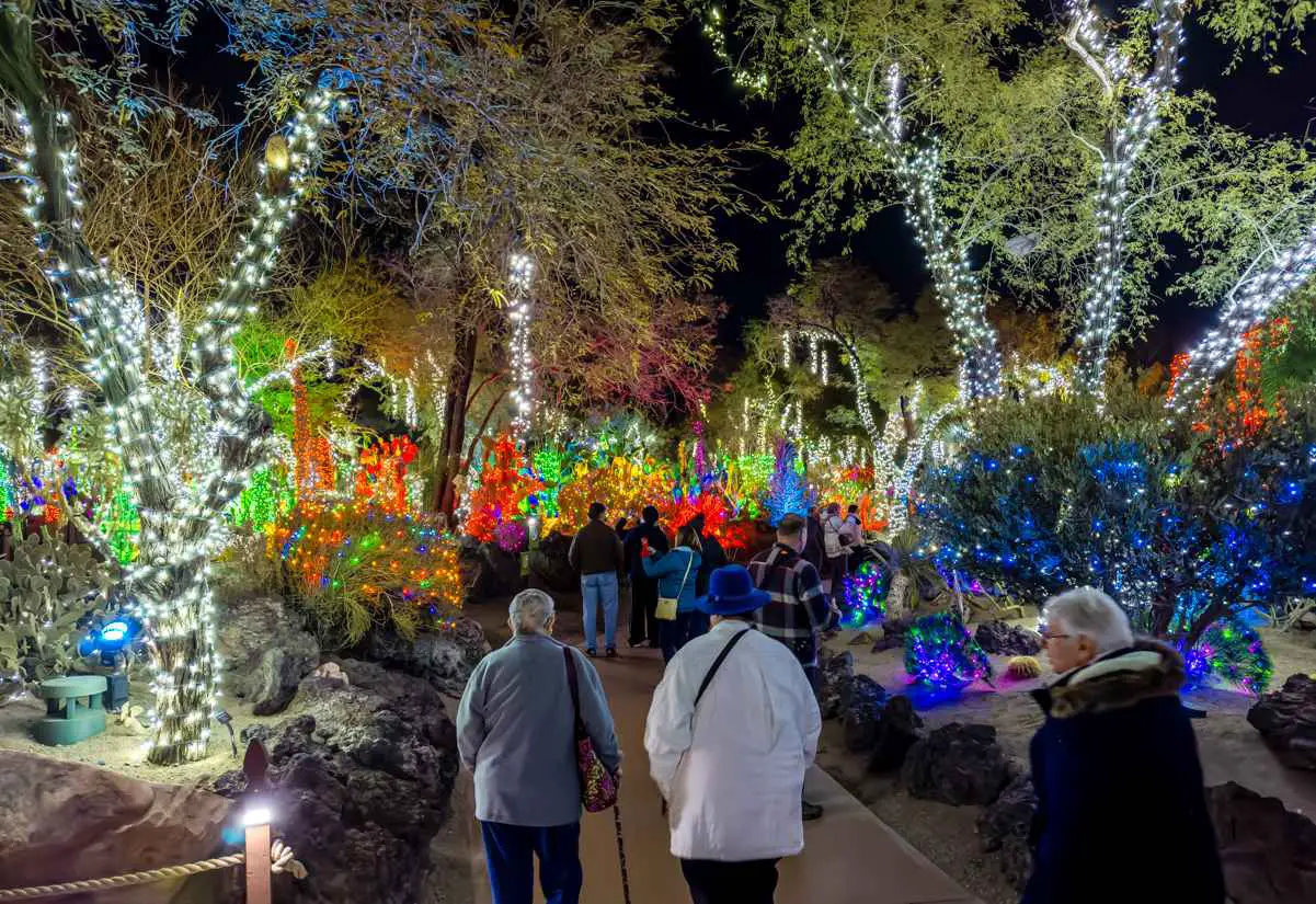 Ethel M's Annual Holiday Cactus Garden Christmas Lights 2023 2 Visitors walk through Ethel M Christmas lights at night