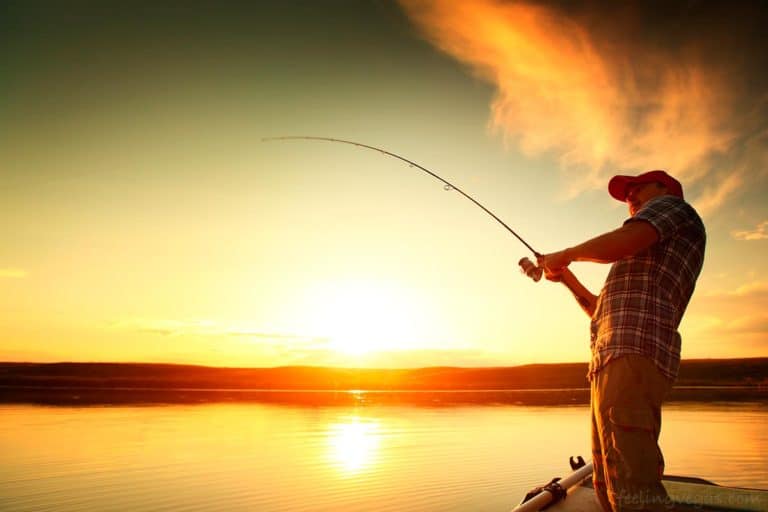 fishing in las vegas