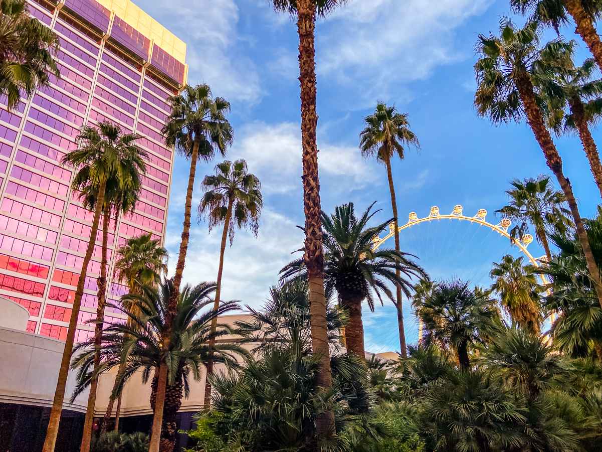 The Flamingo Hotel: A bargain in the heart of Las Vegas 3 flamingo las vegas view