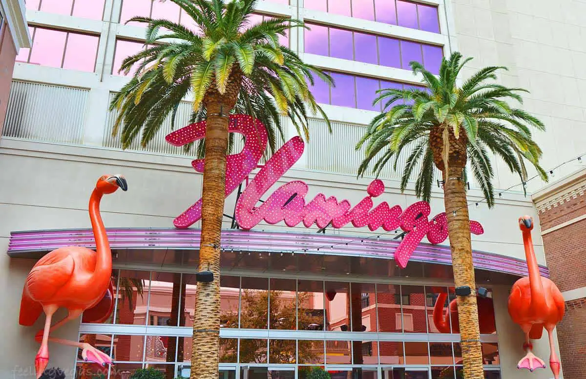 Las Vegas Hotel Comparisons (Which Vegas Hotel is Better?) 20 Flamingo Hotel and Casino in Las Vegas