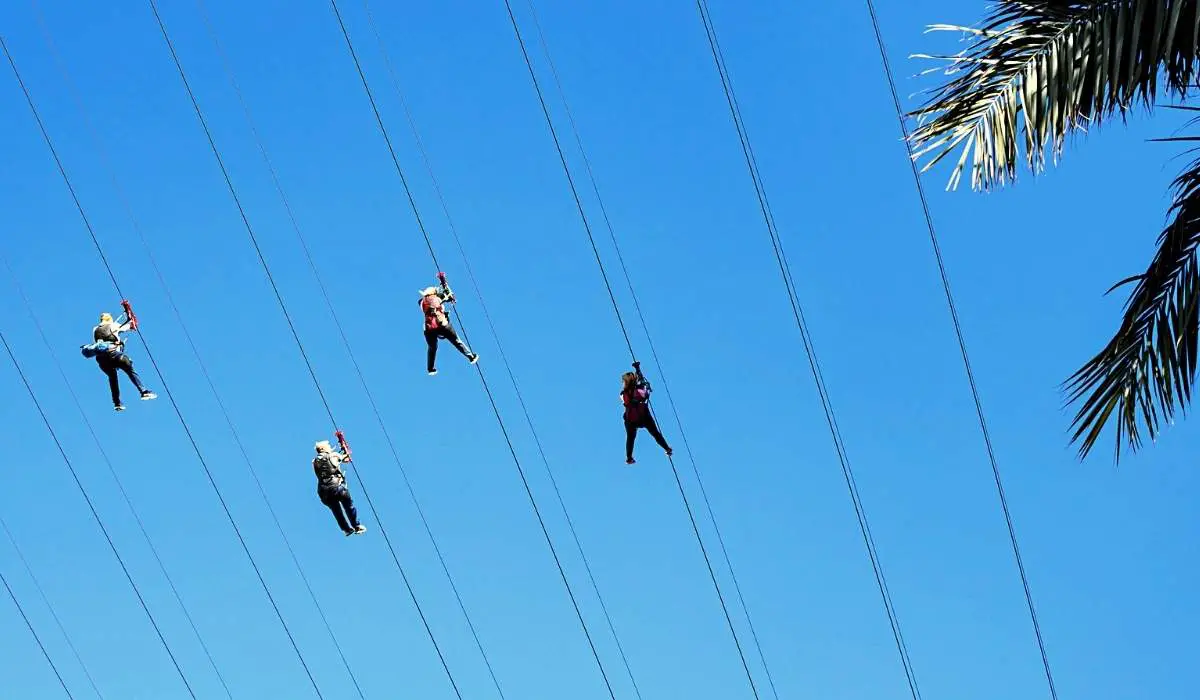 Ziplining in Las Vegas: 4 Best Vegas Zipline Experiences 2 Riders flying overhead at the Fly LINQ zipline at the Linq Promenade in Las Vegas