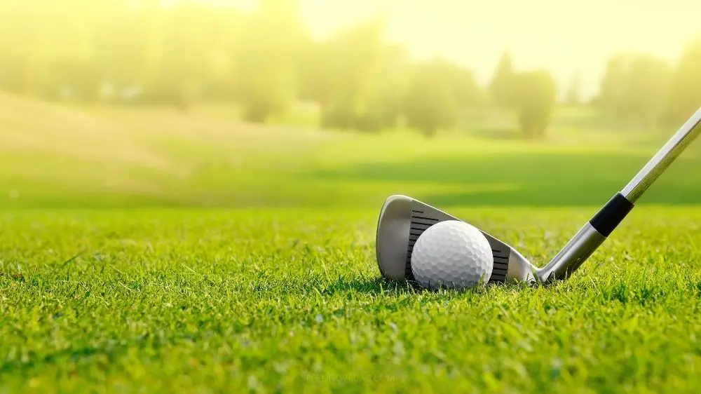 4 Best Golf Stores in Las Vegas (Revealed!) 2 Golf equipment and accessories in Las Vegas.