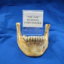 26 Unique Souvenirs from Las Vegas (and Where to Find Them) 23 Clark County Coroner Gift Shop: Jawbone Business Card Holder