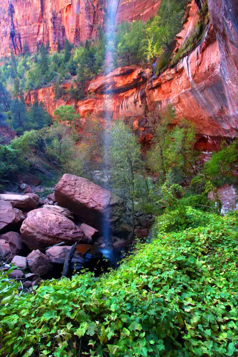 How to See Zion National Park in One Day (Explore!) 7 Lower Emerald Pool Zion National Park