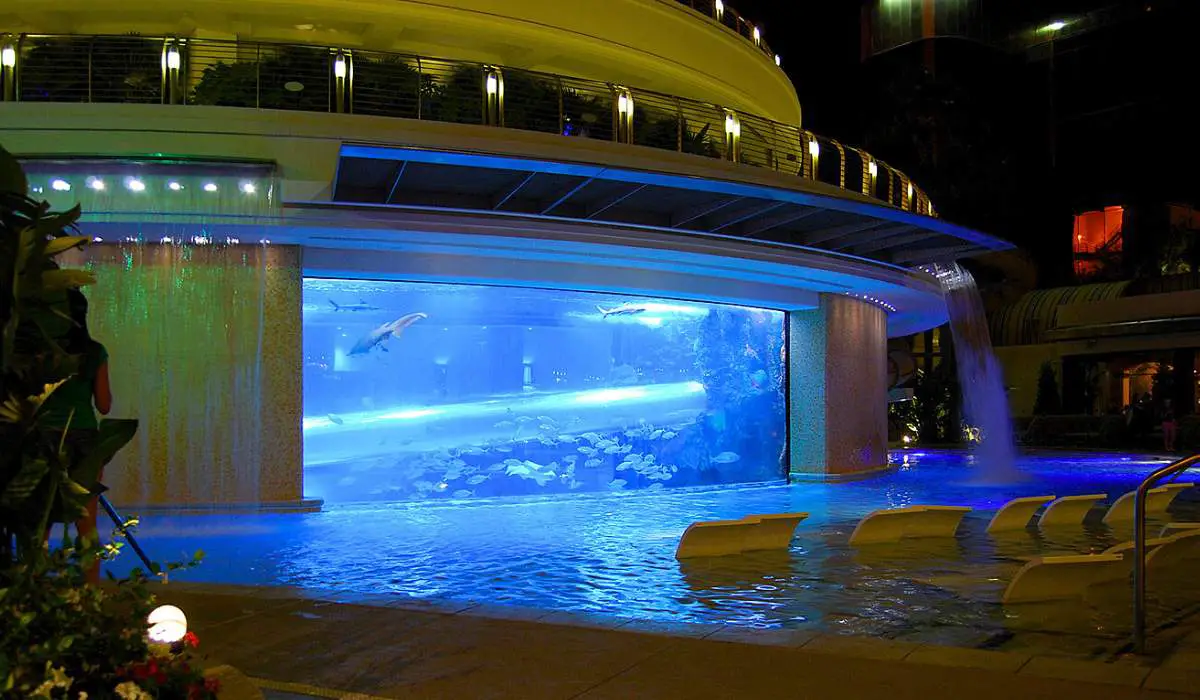 13 Best Pools in Las Vegas for Non Guests (2024 Vegas Pool Guide) 7 The Tank at Golden Nugget casino