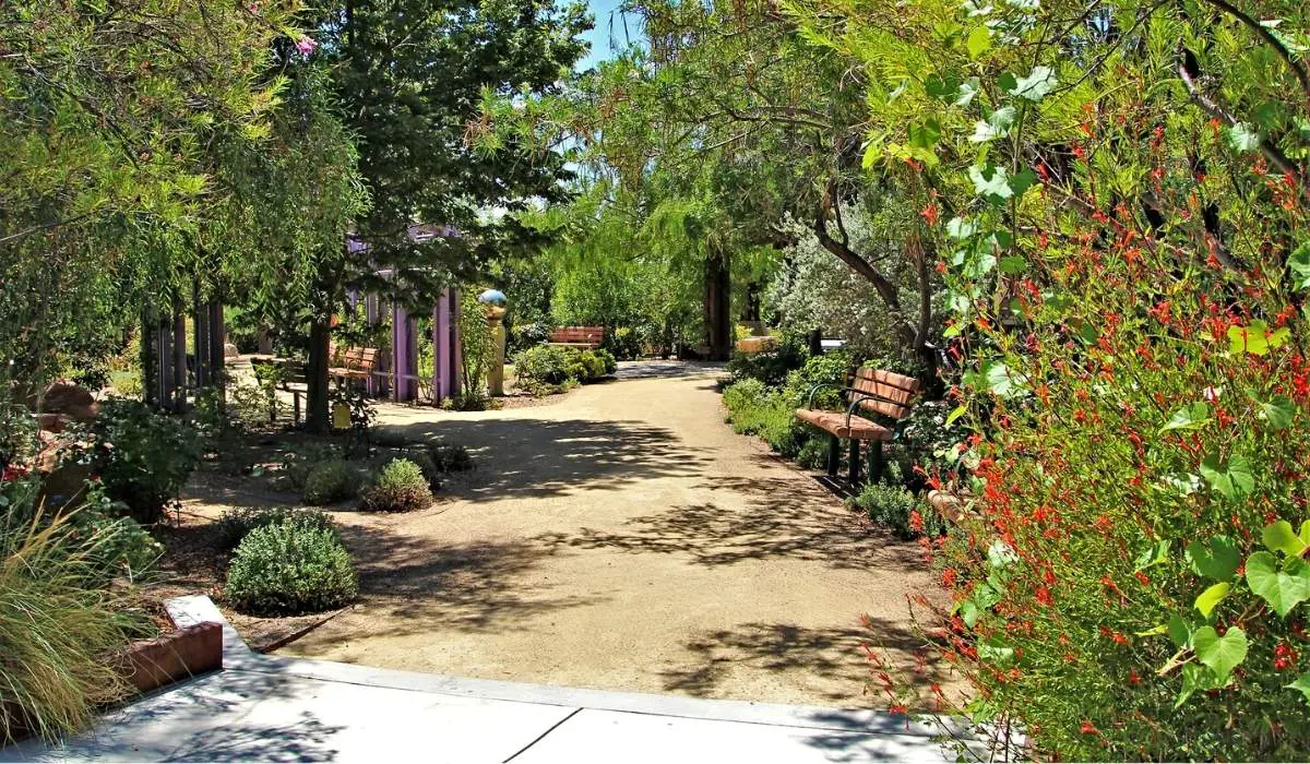 17 Surprises: What Amazed Me Most in Las Vegas 4 What Made Las Vegas an Attractive Stopover (Natural Springs)