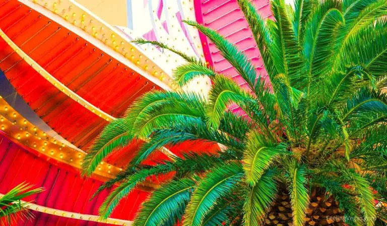 why does las vegas have palm trees