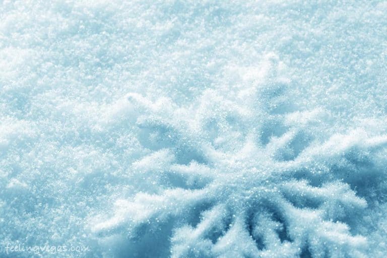 winter snow