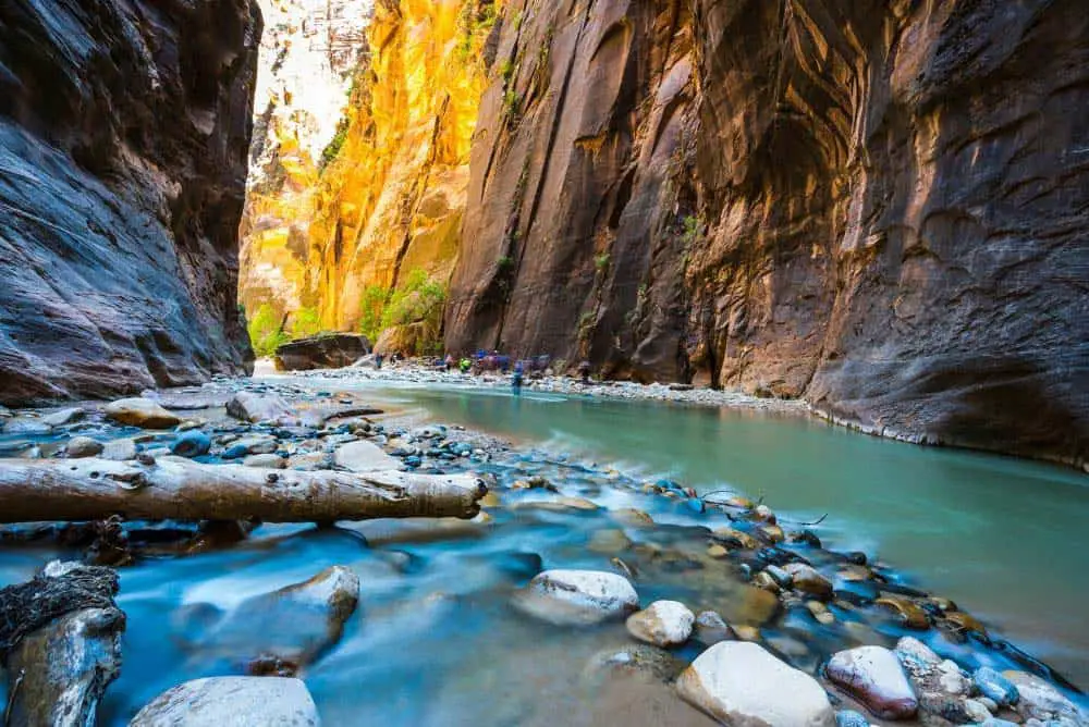 13 Best National & State Parks Near Las Vegas (AWESOME!) 12 Virgin River in Zion National Park